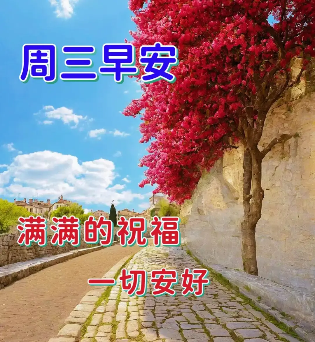 树莓阅读免费吗_树莓阅读_树莓阅读小说下载最新版