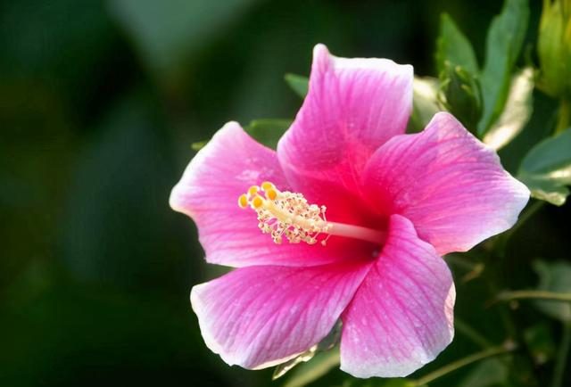 c语言逻辑运算符_c语言逻辑运算符和逻辑表达式_c语言逻辑运算符有