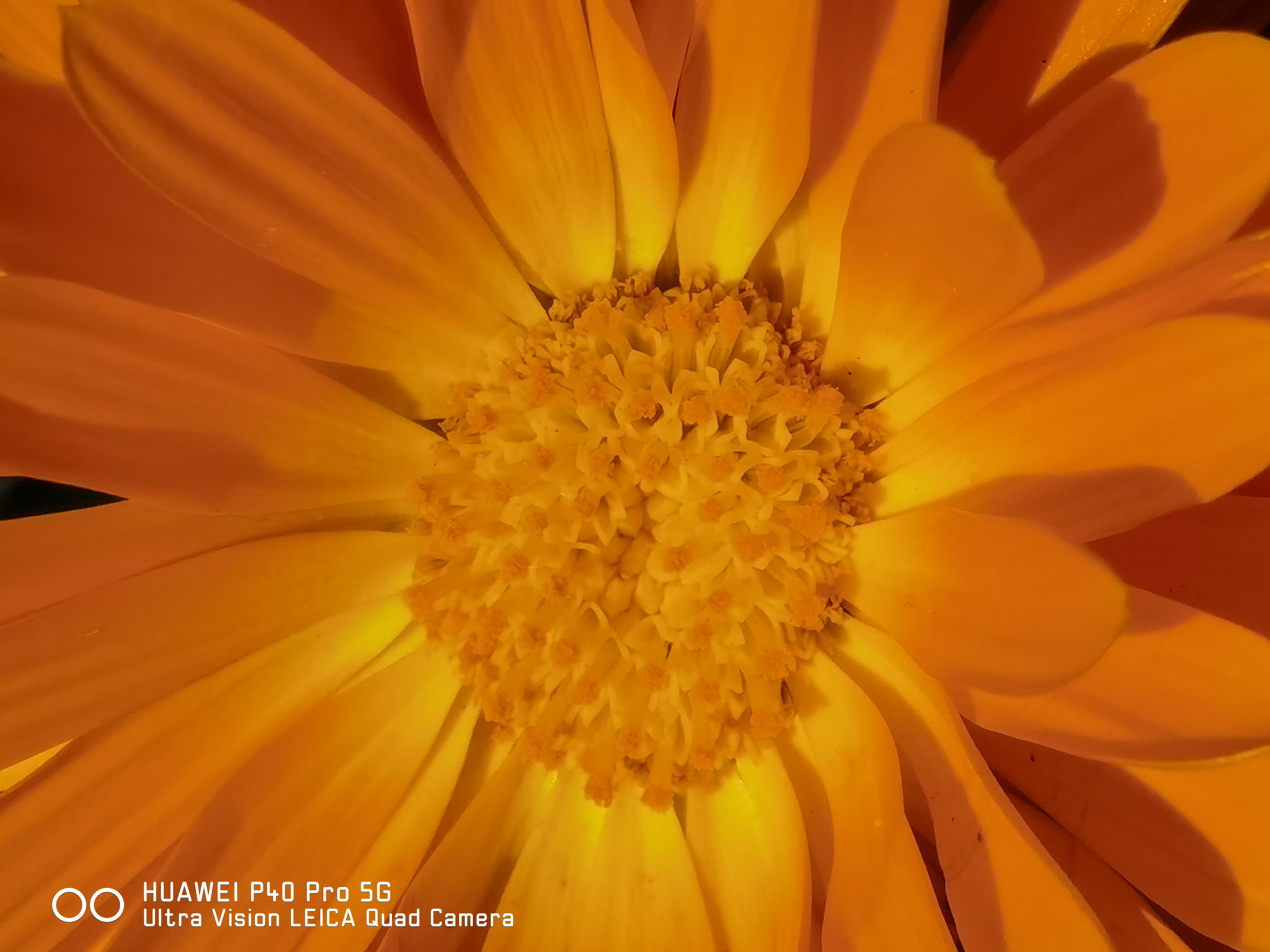 华为prop30_华为Prop50_华为p40pro