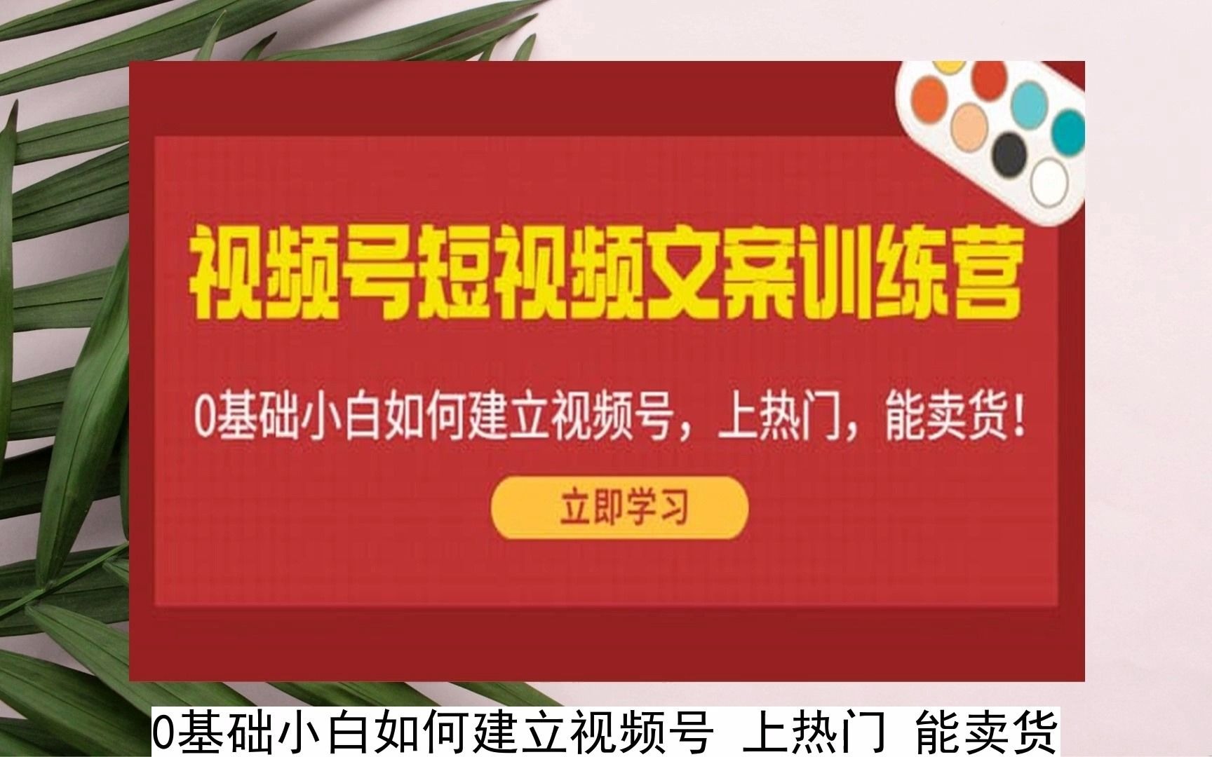 视频号上热门方法_视频上热门了应该怎么做_视频上热门要符合什么指标