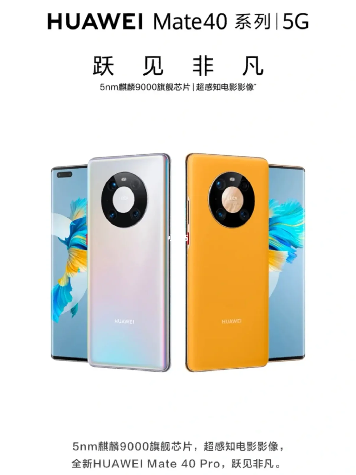 安卓华为区别_华为慧通和华为区别_华为mate40pro+和pro的区别