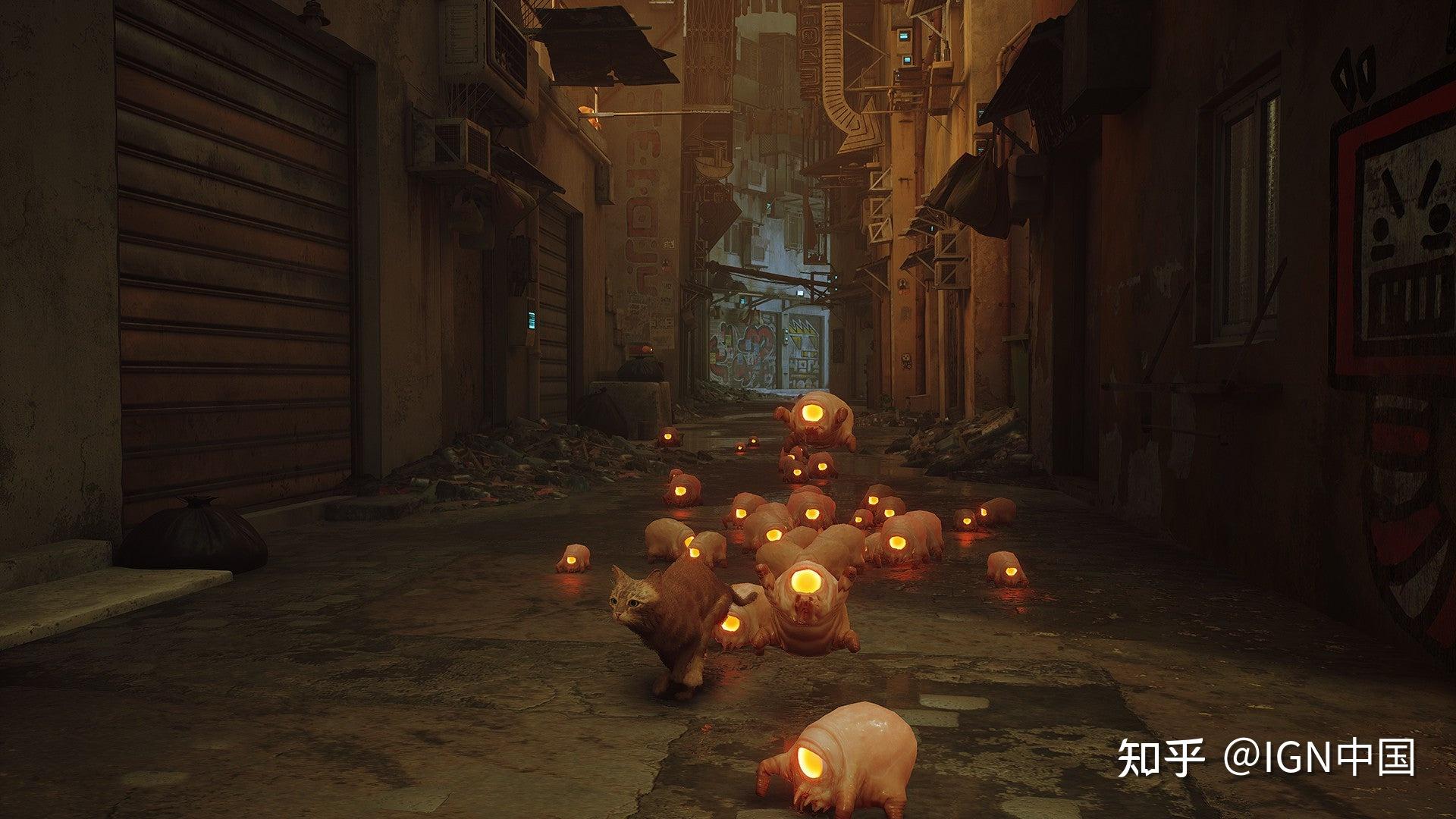 wdf开发_开发区招保安_开发区人流医院哪家好