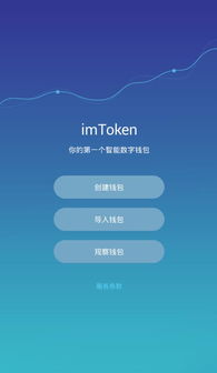 imtoken钱包如何导入usdt,操作指南与注意事项