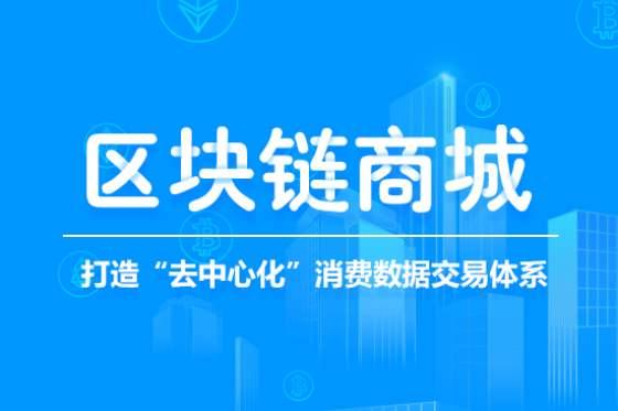 做区块链商城,构建透明、高效、安全的数字购物新纪元