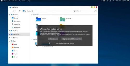 windows10系统mac下载,纯净Windows 10系统镜像与macOS下载指南