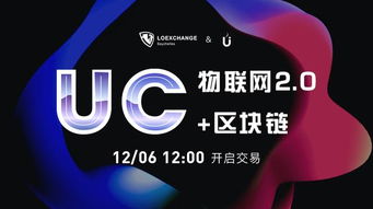 uc 区块链,构建未来数字经济生态的基石