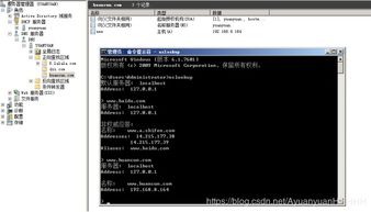 windows操作系统的基本概念