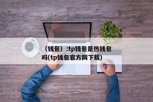 Usdt如何放钱包,钱包使用指南详解