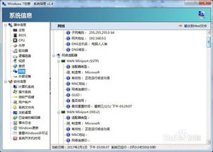 获取windows系统信息,Windows操作系统发展历程与现状解析