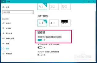 苹果windows10系统鼠标,Windows 10系统下苹果鼠标使用指南