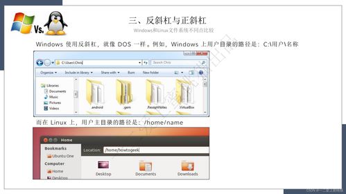 linux windows文件系统,Linux与Windows文件系统对比概述