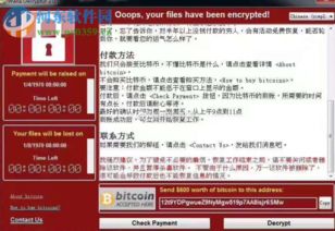 比特币勒索 解决,预防、应对与恢复全解析