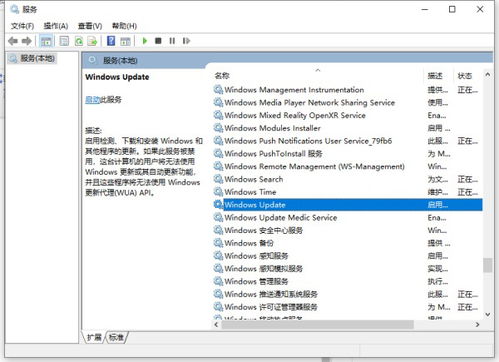 windows10禁止更新系统,全面解析禁用自动更新的方法