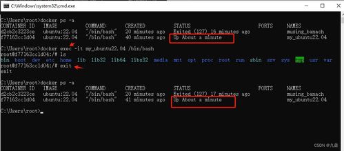 windows系统部署,Windows系统部署流程与关键步骤解析