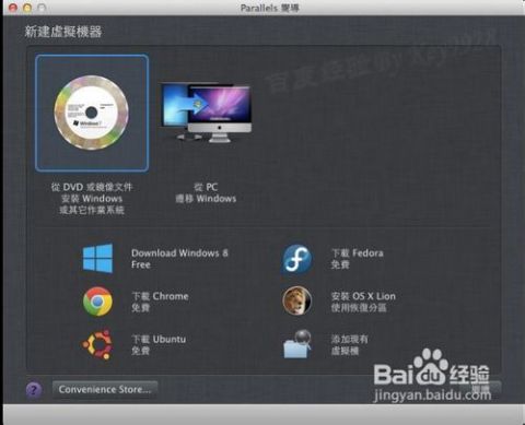 ipad装windows系统教程,详尽教程助你实现跨系统体验