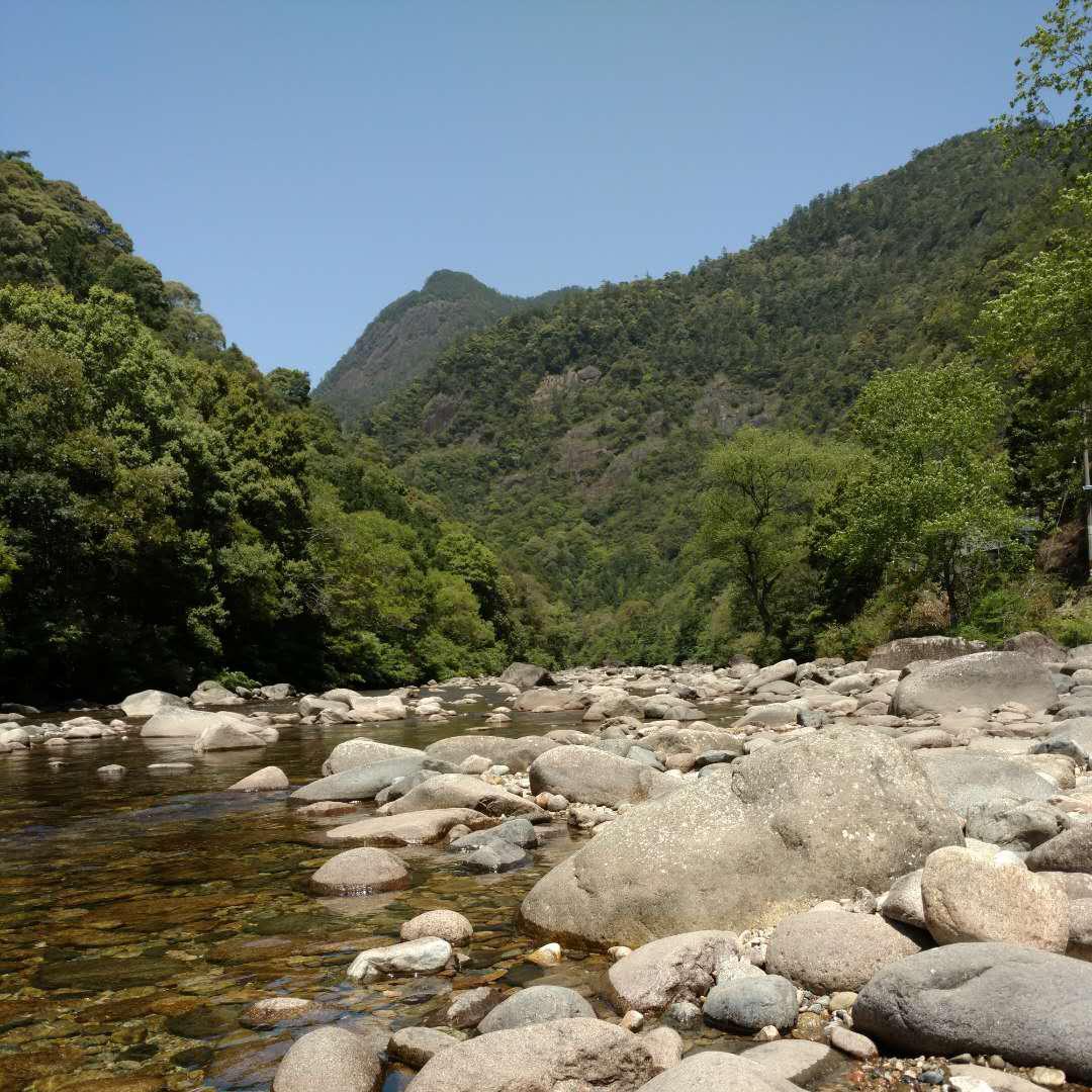 西瓜山河豚鬼_西瓜山河豚鬼_西瓜山河豚鬼