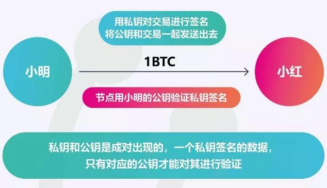 imtoken私钥在哪里_imtoken私钥在哪里_imtoken私钥在哪里