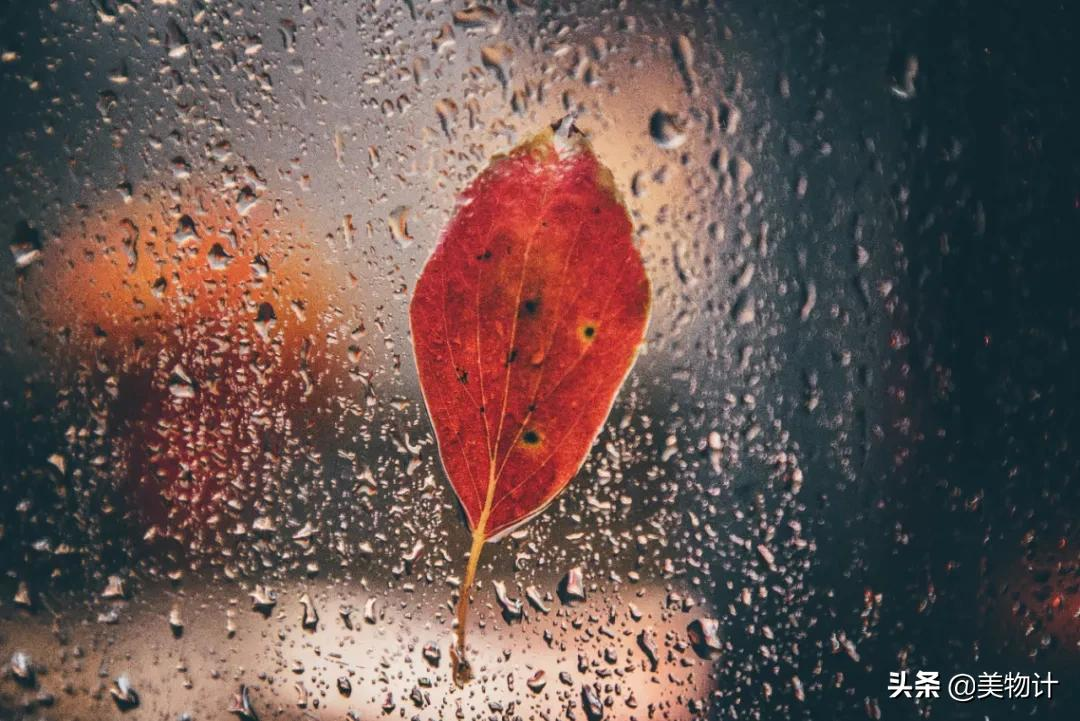 雨中动画视频_雨中的故事动画版在线观看_雨中的故事动漫播放