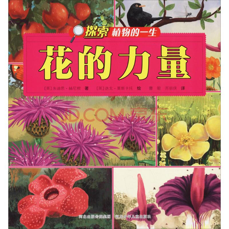 和花字相似的字体_代替花的字_花的替代字