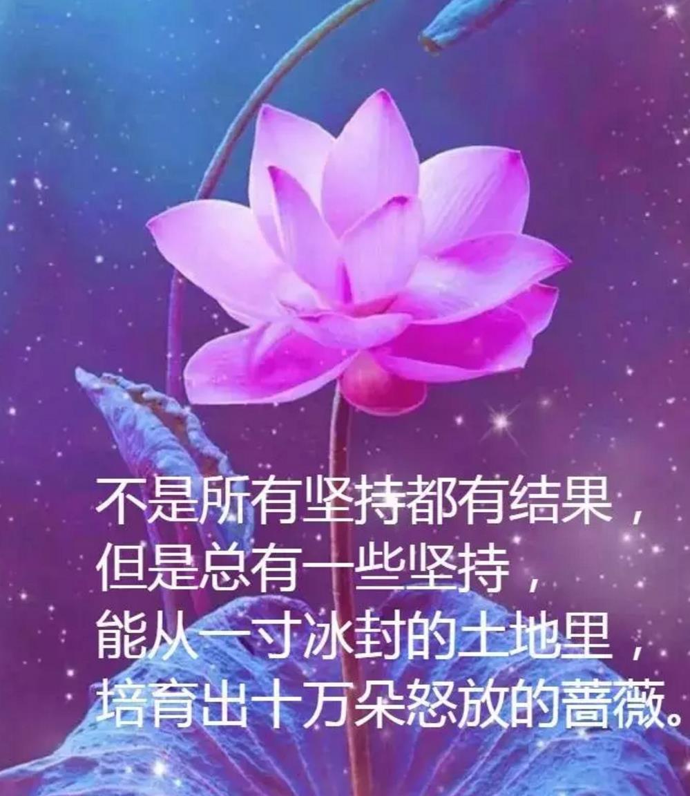 指客圈_三圈指的是哪三圈_指圈号码对照表标准