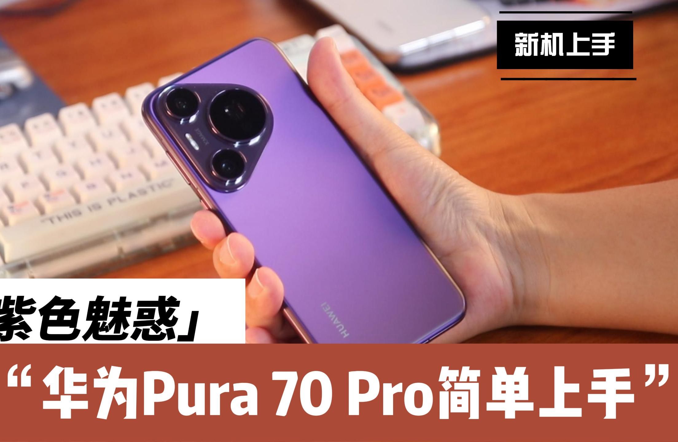 荣耀70pro和70pro+区别_荣耀pro的区别_荣耀熊猫与荣耀区别