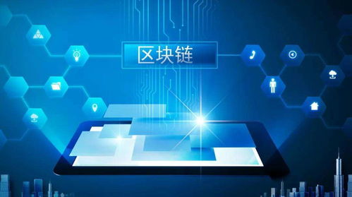 区块链软件技术开发,构建未来数字经济基石