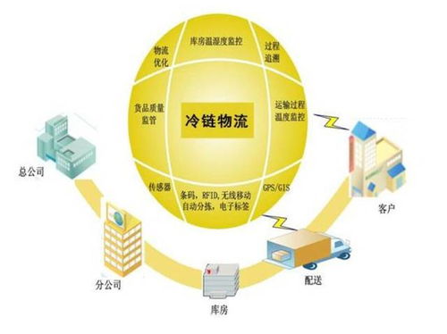 区块链冷链,构建透明、高效、安全的物流新生态