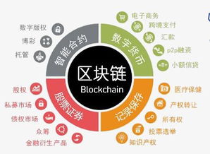 区块链众筹网,构建透明、高效、安全的融资新生态