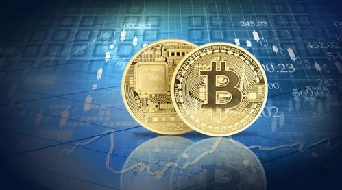夫妻投资比特币,夫妻亏损2000万后的绝望抉择
